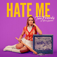 Thumbnail for the Two Friends - Hate Me link, provided by host site