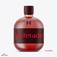 Thumbnail for the Yung Miami - Haterade link, provided by host site