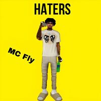 Thumbnail for the McFly - Haters link, provided by host site