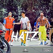 Thumbnail for the Dorian Popa - Hatz link, provided by host site