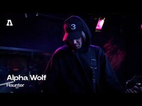 Thumbnail for the Alpha Wolf - Haunter | Audiotree Live link, provided by host site