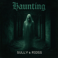Thumbnail for the Sully - Haunting link, provided by host site