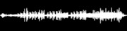 Thumbnail for the Chris Eckman - Haus der Musik link, provided by host site