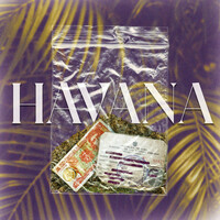 Thumbnail for the Selene - Havana link, provided by host site