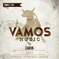 Image of Zakir linking to their artist page due to link from them being at the top of the main table on this page