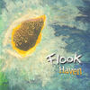 Thumbnail for the Flook - Haven link, provided by host site
