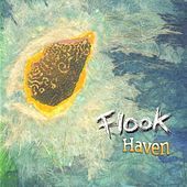 Thumbnail for the Flook - Haven link, provided by host site