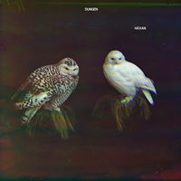 Thumbnail for the Dungen - Häxan link, provided by host site
