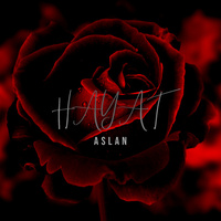 Thumbnail for the Aslan - Hayat link, provided by host site
