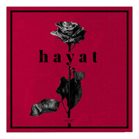 Thumbnail for the Aslan - Hayat link, provided by host site
