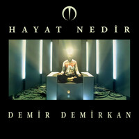 Thumbnail for the Demir Demirkan - Hayat Nedir link, provided by host site