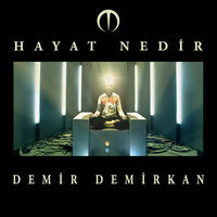 Thumbnail for the Demir Demirkan - Hayat Nedir link, provided by host site