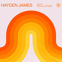 Thumbnail for the Hayden James - Hayden James Presents Waves of Gold (DJ Mix) link, provided by host site