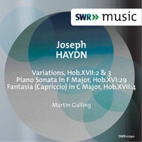 Thumbnail for the Martin Galling - Haydn: Piano Music link, provided by host site