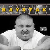 Thumbnail for the Haystak - Haystak link, provided by host site