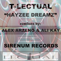 Image of T-Lectual linking to their artist page due to link from them being at the top of the main table on this page