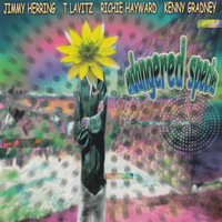Thumbnail for the Jimmy Herring - Headstrong link, provided by host site