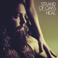 Thumbnail for the Strand of Oaks - HEAL link, provided by host site