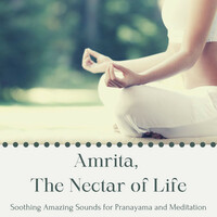 Thumbnail for the Uma Gaye - Healing Moment for You link, provided by host site