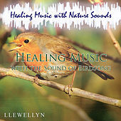 Thumbnail for the Llewellyn - Healing Music with the Sound of Birdsong link, provided by host site