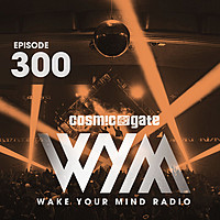 Thumbnail for the Ferry Corsten - Hear It Now (WYM300) - Ferry Fix link, provided by host site