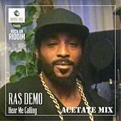 Thumbnail for the Ras Demo - Hear Me Calling (Acetate Mix) link, provided by host site