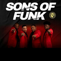 Thumbnail for the Sons Of Funk - Heart Break Hotel link, provided by host site