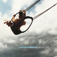 Thumbnail for the JUSTIN ROBERTS - Heart Like a Door link, provided by host site
