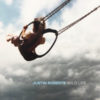 Thumbnail for the JUSTIN ROBERTS - Heart Like a Door link, provided by host site