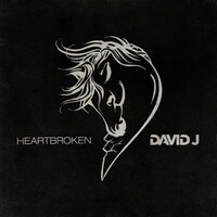 Thumbnail for the Davidj - Heartbroken link, provided by host site