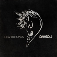 Thumbnail for the Davidj - Heartbroken link, provided by host site