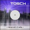 Thumbnail for the Tosch - Heaven Calls link, provided by host site