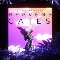 Thumbnail for the The Awakening - Heavens Gates link, provided by host site