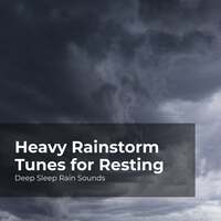Thumbnail for the Deep Sleep Rain Sounds - Heavy Rainstorm Tunes for Resting link, provided by host site