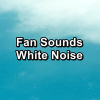 Thumbnail for the White Noise For Baby Sleep - Heavy White Noise to Loop For a Peaceful Night link, provided by host site