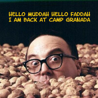Thumbnail for the Allan Sherman - Hello Muddah Hello Faddah, I Am Back At Camp Granada link, provided by host site