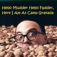 Thumbnail for the Allan Sherman - Hello Mudder Hello Fadder, Here I Am At Camp Granada link, provided by host site