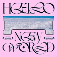 Thumbnail for the Bugs - HELLO NEW WORLD link, provided by host site