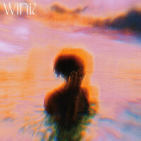 Image of Wink linking to their artist page due to link from them being at the top of the main table on this page