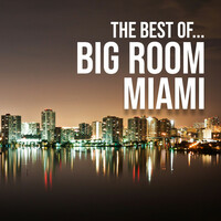 Thumbnail for the Alex Wright - Here for Good - Original Mix link, provided by host site