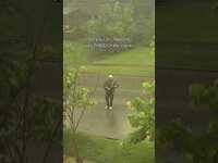 Thumbnail for the Rend Collective - Here’s to singing through the storms of life link, provided by host site