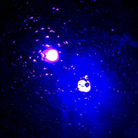 Thumbnail for the Snow - Here We Go Again link, provided by host site