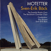 Thumbnail for the Swedish Radio Choir - Herr, zu wem sollen wir gehen? (Joh. 6:53-69) link, provided by host site