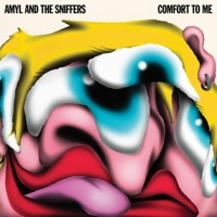 Thumbnail for the Amyl and The Sniffers - Hertz link, provided by host site
