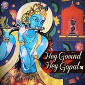 Thumbnail for the Rajalakshmee Sanjay - Hey Govind Hey Gopal link, provided by host site
