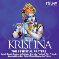 Thumbnail for the Om Voices - Hey Govind Hey Gopal link, provided by host site