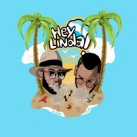 Thumbnail for the Denny Well - Hey Linda! link, provided by host site