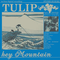 Thumbnail for the Tulip - Hey Mountain link, provided by host site