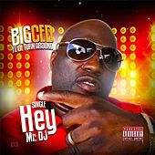 Thumbnail for the Big Ced - Hey Mr. DJ link, provided by host site