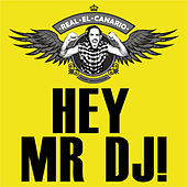 Thumbnail for the Real El Canario - Hey Mr DJ link, provided by host site